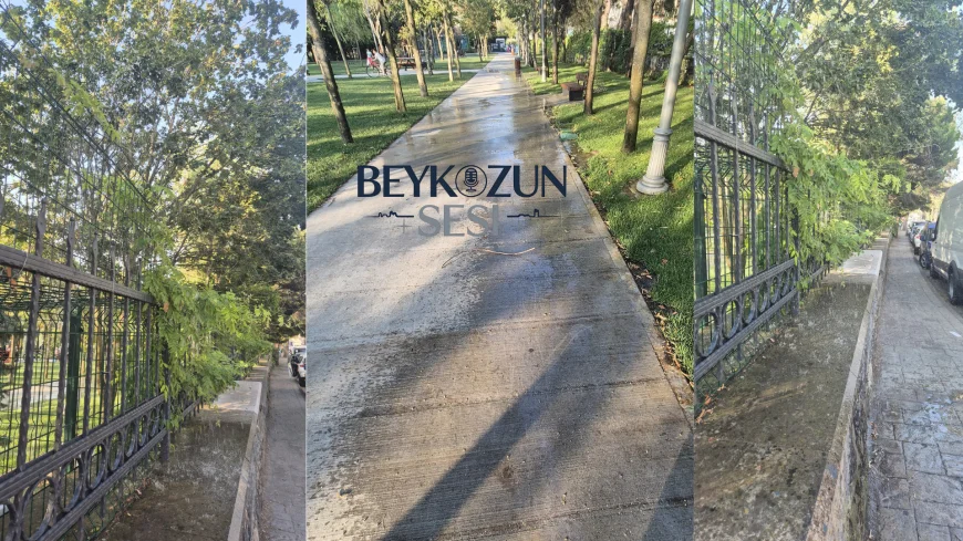 İstanbul Otağtepe Parkı’nda sulama skandalı: Ağaçlar kuruyor, elektrik panoları ıslanıyor
