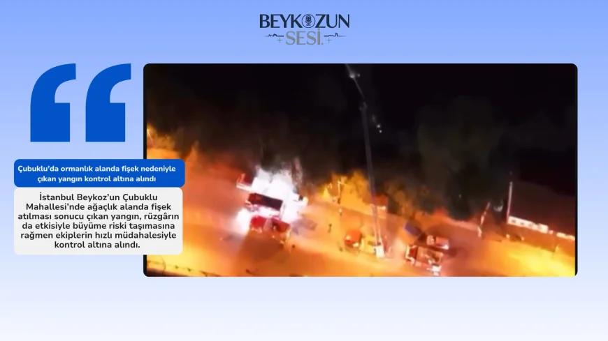 Çubuklu’da ormanlık alanda fişek nedeniyle çıkan yangın kontrol altına alındı