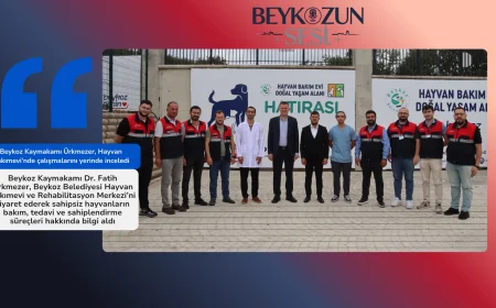 Beykoz Kaymakamı Ürkmezer, Hayvan Bakımevi’nde çalışmalarını yerinde inceledi