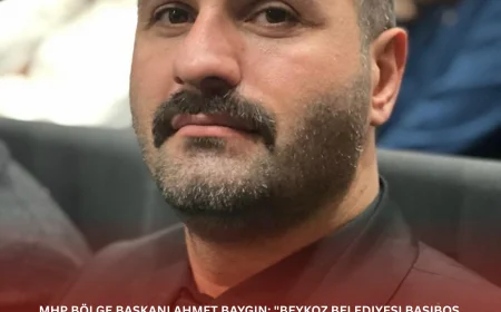 MHP Bölge Başkanı Ahmet Baygın: "Beykoz Belediyesi başıboş köpek sorununda görevini yerine getirmiyor"