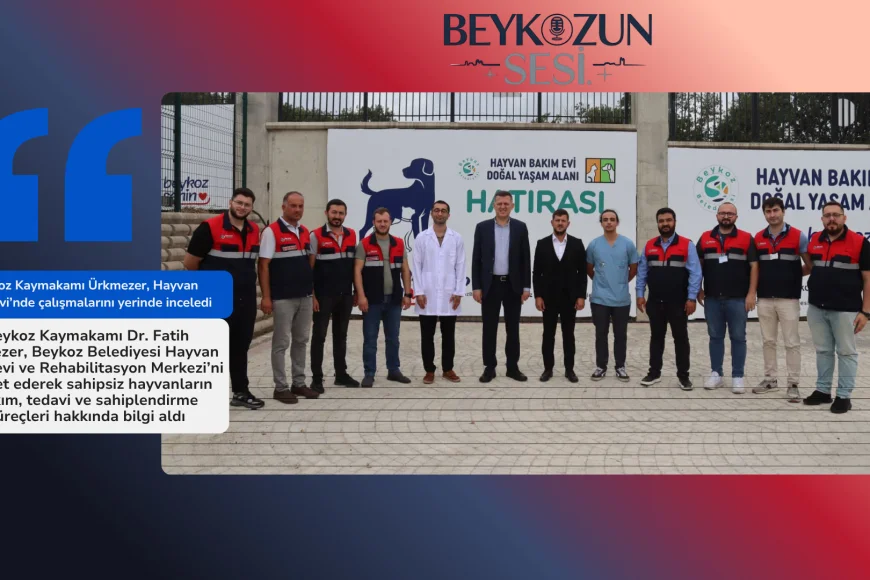 Beykoz Kaymakamı Ürkmezer, Hayvan Bakımevi’nde çalışmalarını yerinde inceledi