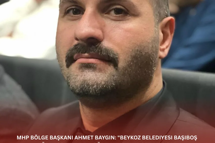MHP Bölge Başkanı Ahmet Baygın: "Beykoz Belediyesi başıboş köpek sorununda görevini yerine getirmiyor"