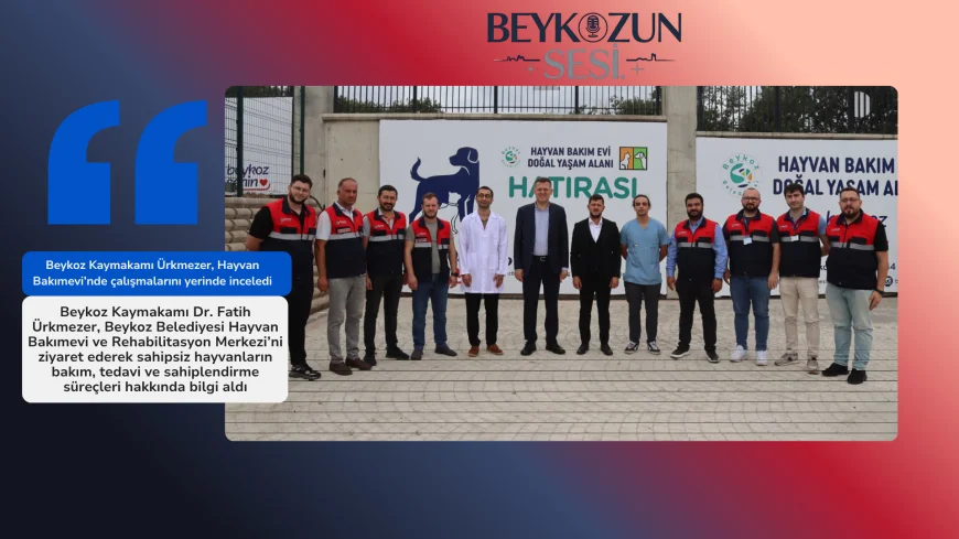 Beykoz Kaymakamı Ürkmezer, Hayvan Bakımevi’nde çalışmalarını yerinde inceledi