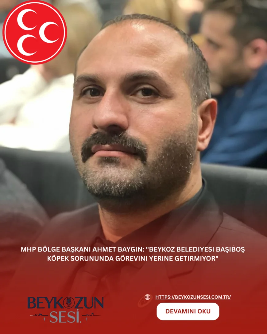 MHP Bölge Başkanı Ahmet Baygın: "Beykoz Belediyesi başıboş köpek sorununda görevini yerine getirmiyor"