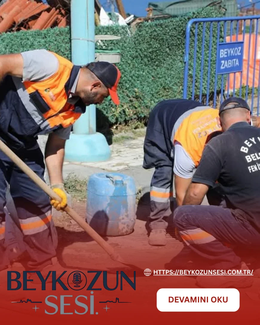 Beykoz Belediyesi Mahalle Bakım Timi Riva’da çevre düzenlemeden yol onarımına kapsamlı çalışmalar yaptı