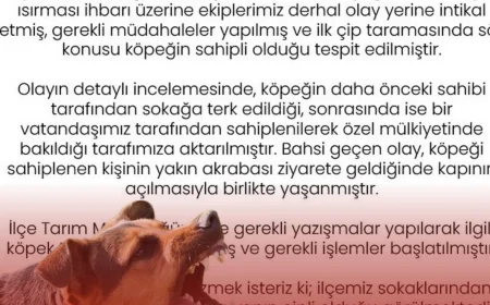Beykoz Belediyesi köpek ısırması olayıyla ilgili açıklama yaptı, sahipli hayvanın sorumluları hakkında işlem başlatıldı