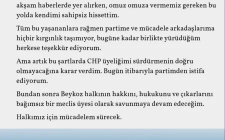 Beykoz Belediye Meclis Üyesi Uğur Gökdemir CHP’den istifa etti: "Halkımız için mücadelem sürecek"