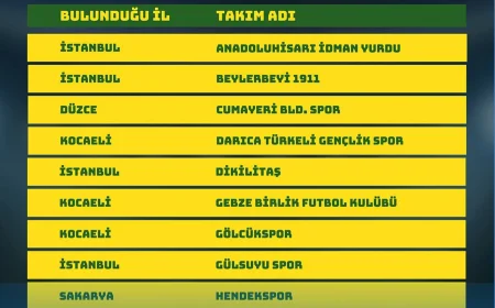 BAL 9. Grup Heyecanı Başlıyor: İstanbul, Kocaeli, Sakarya ve Düzce’den 15 Takım Mücadele Edecek