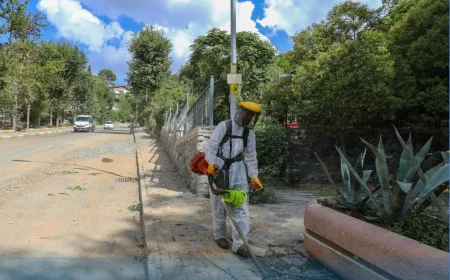 Beykoz Belediyesi Gümüşsuyu Mahallesi’nde ot ve çalı temizliğiyle çevre düzenlemesine hız verdi