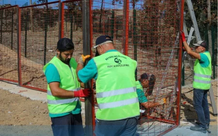 Beykoz Belediyesi sahipsiz hayvanlar için rehabilitasyon merkezinde doğal yaşam alanını genişletiyor