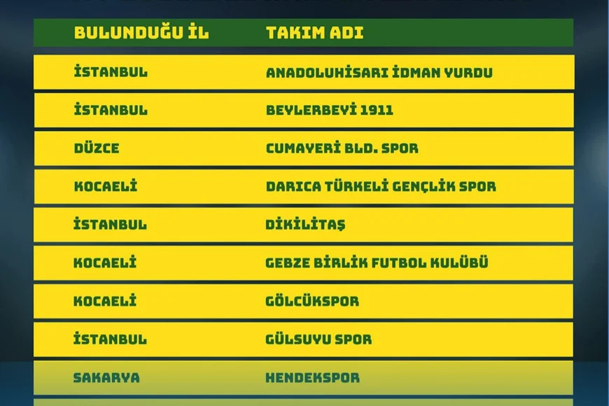 BAL 9. Grup Heyecanı Başlıyor: İstanbul, Kocaeli, Sakarya ve Düzce’den 15 Takım Mücadele Edecek