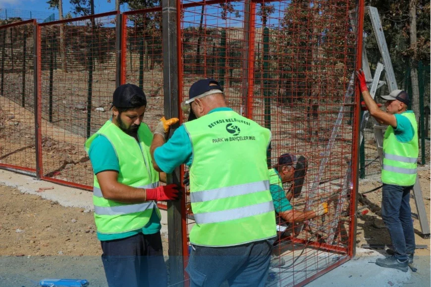 Beykoz Belediyesi sahipsiz hayvanlar için rehabilitasyon merkezinde doğal yaşam alanını genişletiyor