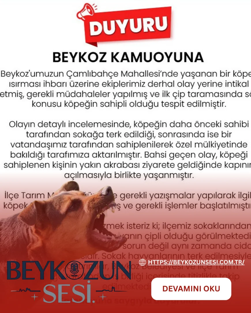 Beykoz Belediyesi köpek ısırması olayıyla ilgili açıklama yaptı, sahipli hayvanın sorumluları hakkında işlem başlatıldı