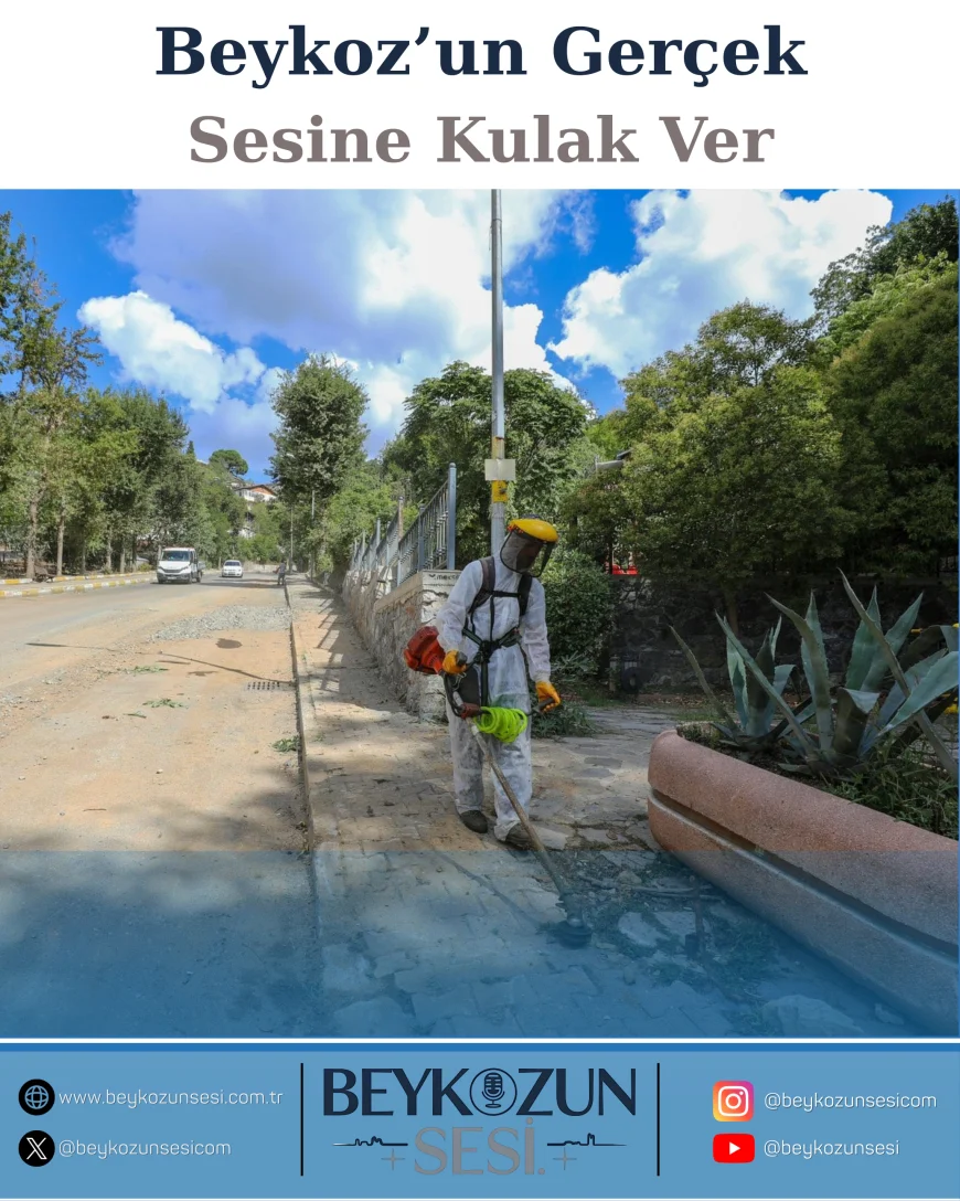 Beykoz Belediyesi Gümüşsuyu Mahallesi’nde ot ve çalı temizliğiyle çevre düzenlemesine hız verdi