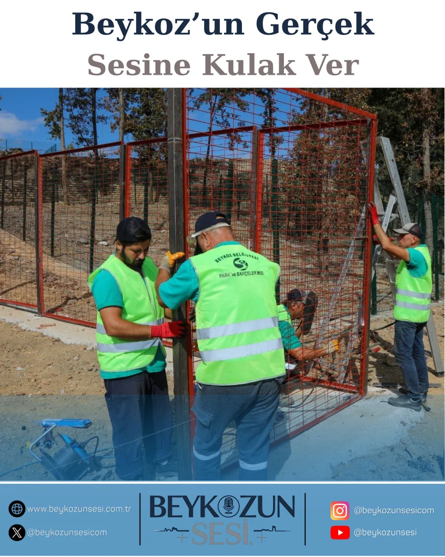 Beykoz Belediyesi sahipsiz hayvanlar için rehabilitasyon merkezinde doğal yaşam alanını genişletiyor