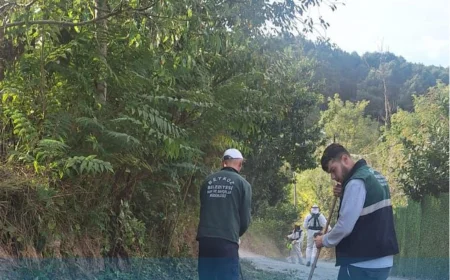 Beykoz Belediyesi’nden İlçe Genelinde Kapsamlı Temizlik ve Ağaç Bakım Seferberliği