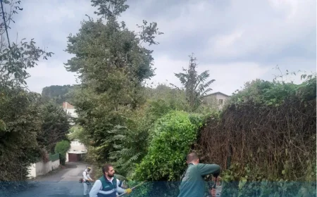 Beykoz’da çevre seferberliği: Parklar, yollar ve orman geçişlerinde doğa yenileniyor