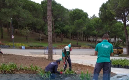 Beykoz’un Her Köşesi Yeşile Bürünüyor: İlçede Peyzaj ve Çevre Düzenleme Çalışmaları Tüm Hızıyla Devam Ediyor
