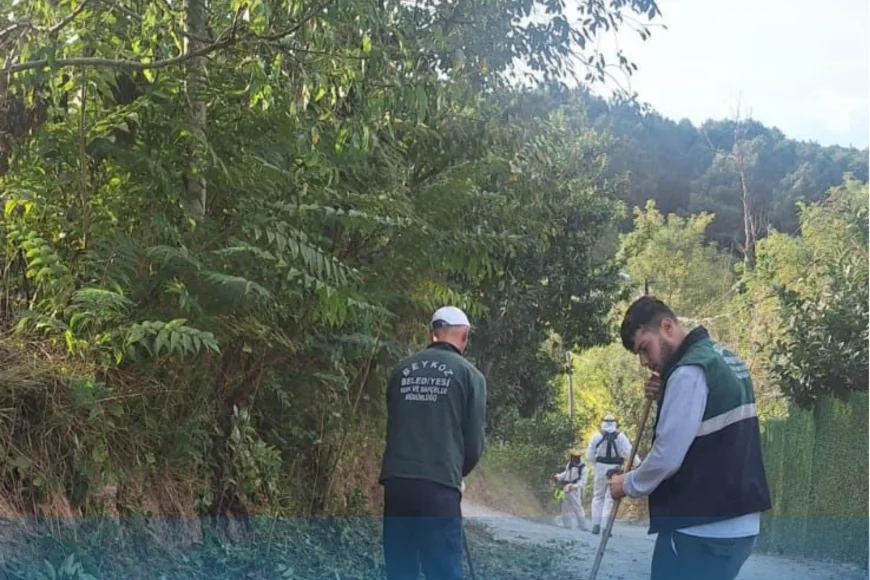 Beykoz Belediyesi’nden İlçe Genelinde Kapsamlı Temizlik ve Ağaç Bakım Seferberliği