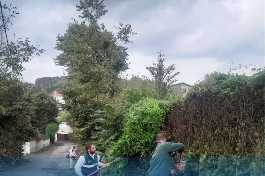 Beykoz’da çevre seferberliği: Parklar, yollar ve orman geçişlerinde doğa yenileniyor