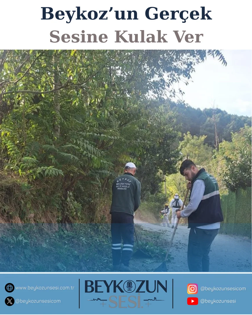 Beykoz Belediyesi’nden İlçe Genelinde Kapsamlı Temizlik ve Ağaç Bakım Seferberliği