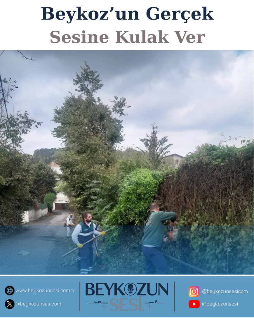 Beykoz’da çevre seferberliği: Parklar, yollar ve orman geçişlerinde doğa yenileniyor