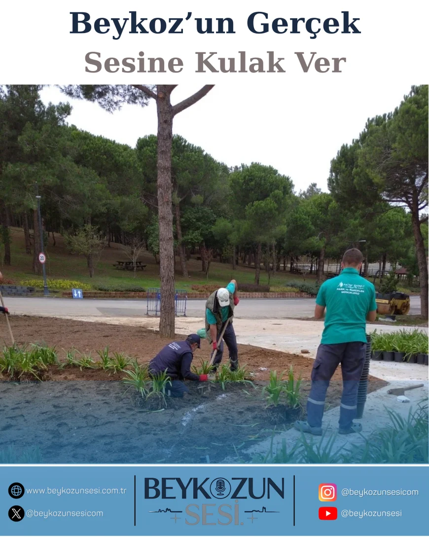 Beykoz’un Her Köşesi Yeşile Bürünüyor: İlçede Peyzaj ve Çevre Düzenleme Çalışmaları Tüm Hızıyla Devam Ediyor