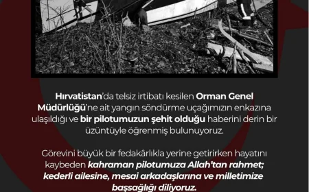 Hırvatistan’da Düşen Yangın Söndürme Uçağının Enkazına Ulaşıldı: Orman Genel Müdürlüğü Pilotu Şehit Oldu