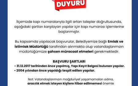 Beykoz Belediyesi Kapı Numarası İşlemlerini Yeniden Başlattı: Başvurular Emlak ve İstimlak Müdürlüğü Üzerinden Şahsen Alınacak