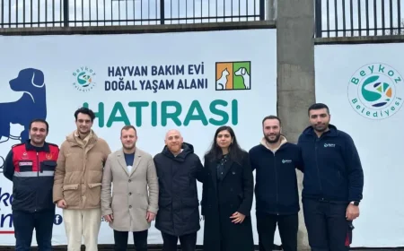Ünlü Oyuncu Furkan Kızılay Beykoz Hayvan Bakım Evi’nde: “Can Dostlarımızı Yalnız Bırakmayın”