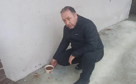 BEYKOZ’DA KIŞ ŞARTLARINDA SOKAK HAYVANLARI İÇİN ANLAMLI ADIM: REMZİ ÇIRA 50 NOKTADA MAMA DAĞITACAK