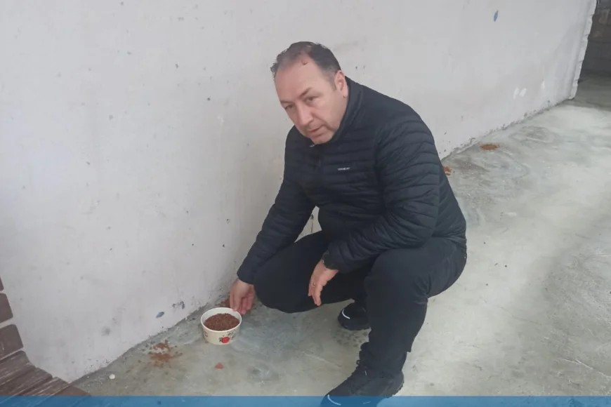 BEYKOZ’DA KIŞ ŞARTLARINDA SOKAK HAYVANLARI İÇİN ANLAMLI ADIM: REMZİ ÇIRA 50 NOKTADA MAMA DAĞITACAK
