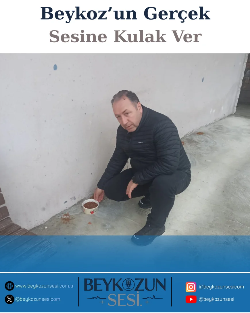 BEYKOZ’DA KIŞ ŞARTLARINDA SOKAK HAYVANLARI İÇİN ANLAMLI ADIM: REMZİ ÇIRA 50 NOKTADA MAMA DAĞITACAK