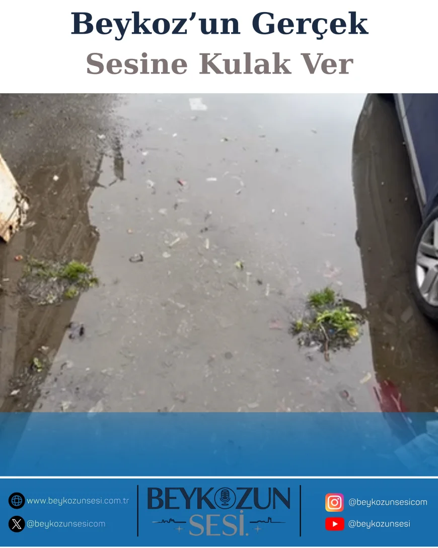 Serhat Ismık: “Yalıköy Pazarı Daha Düzenli ve Kullanışlı Hale Getirilmeli”