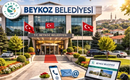 Beykoz Belediyesi İletişim Bilgileri 2026: Telefon, Adres ve Online Başvuru Rehberi
