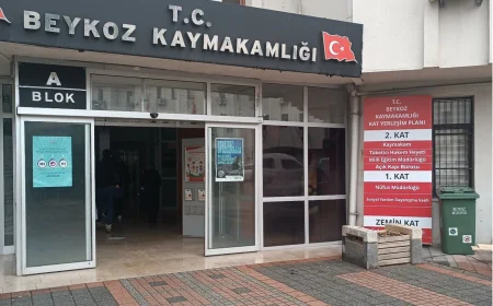 Beykoz Kaymakamlığı Nerede? 2026 Güncel Adres, Telefon ve Hizmet Rehberi