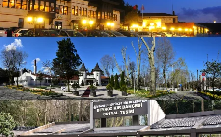 BEYKOZ’DA İBB SOSYAL TESİSLERİ Yoğun İlgi Görüyor! Sahil ve Koru Keyfi Bir Arada (2026 Güncel Rehber)