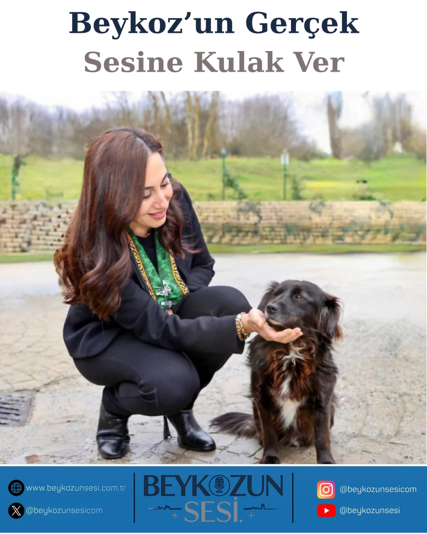 Beykoz Belediye Başkan Vekili Özlem Vural Gürzel: “Yemek Artıklarını Mamaya Dönüştürerek Hem İsrafı Önlüyor Hem Can Dostlara Destek Oluyoruz”