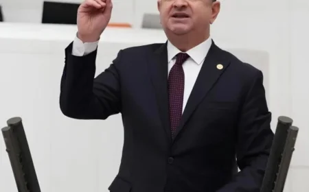 Antalya 2021 Orman Yangınları Mağdurları İçin CHP’den Konut İndirimi Çağrısı: Cavit Arı Açıklaması