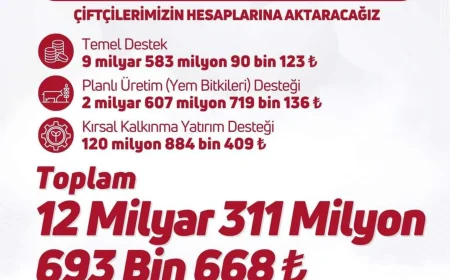 Tarım ve Orman Bakanlığı 12 Milyar 311 Milyon TL’lik Destek Ödemesini Yarın Çiftçilerin Hesaplarına Aktaracak