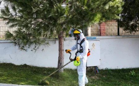 Beykoz Belediyesi, Anadolu Feneri Mahallesi’nde “Şok Hizmet” ile Altyapı ve Çevreyi Yeniledi