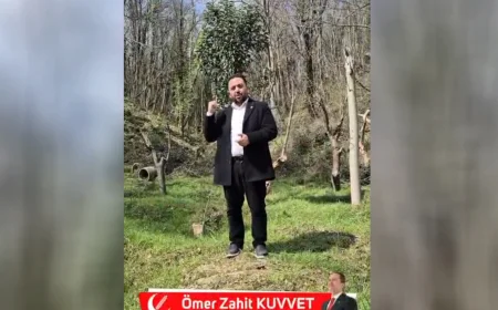 Beykoz’da 1 Milyon Metrekarelik Orman İmara Açıldı İddiası Tartışma Yarattı