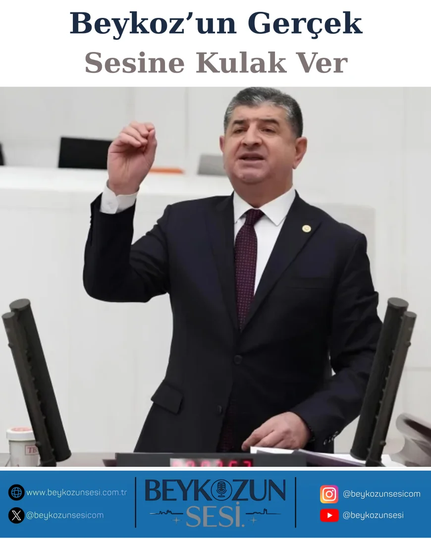 Antalya 2021 Orman Yangınları Mağdurları İçin CHP’den Konut İndirimi Çağrısı: Cavit Arı Açıklaması