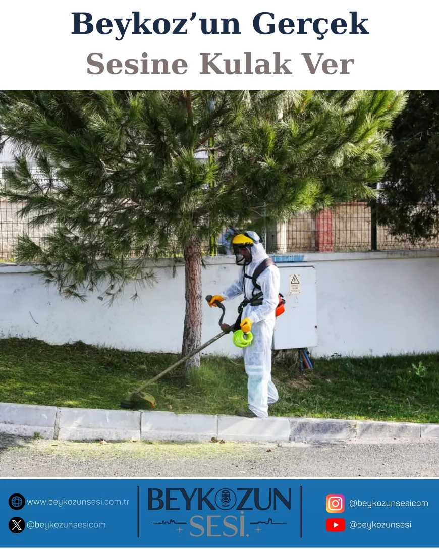 Beykoz Belediyesi, Anadolu Feneri Mahallesi’nde “Şok Hizmet” ile Altyapı ve Çevreyi Yeniledi