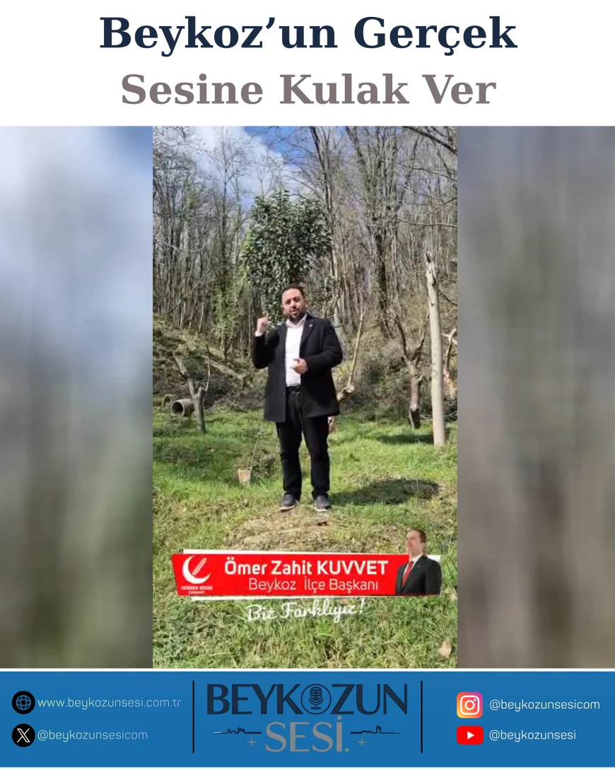 Beykoz’da 1 Milyon Metrekarelik Orman İmara Açıldı İddiası Tartışma Yarattı