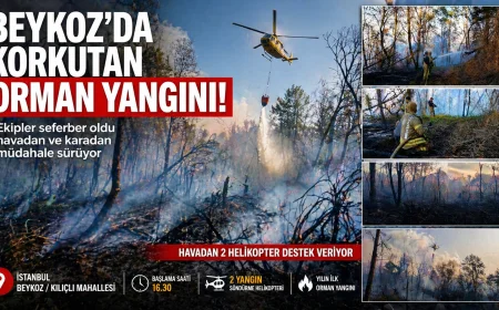 Beykoz’da Korkutan Orman Yangını! Alevlere Havadan ve Karadan Müdahale