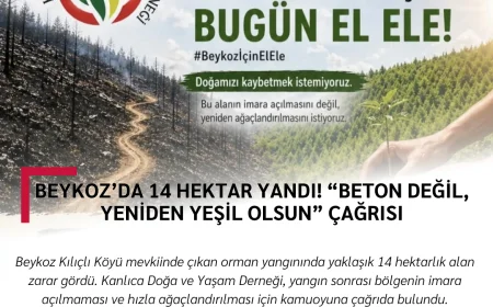 Beykoz’da 14 Hektar Yandı! “Beton Değil, Yeniden Yeşil Olsun” Çağrısı