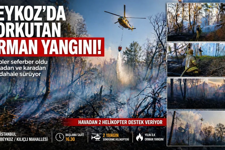 Beykoz’da Korkutan Orman Yangını! Alevlere Havadan ve Karadan Müdahale