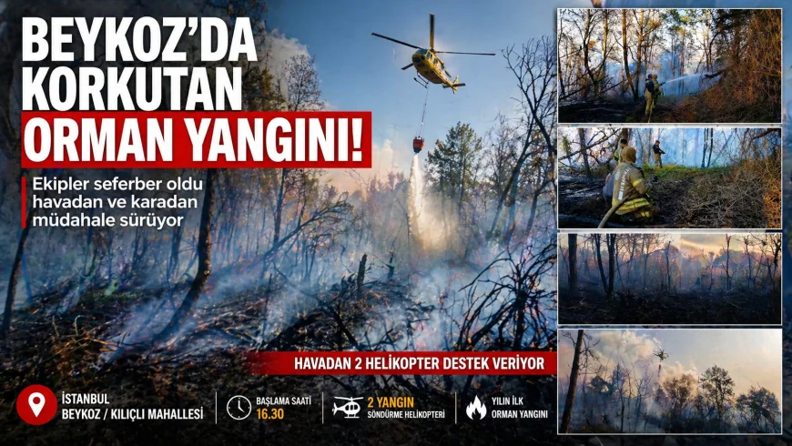 Beykoz’da Korkutan Orman Yangını! Alevlere Havadan ve Karadan Müdahale