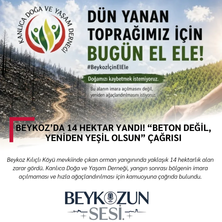 Beykoz’da 14 Hektar Yandı! “Beton Değil, Yeniden Yeşil Olsun” Çağrısı
